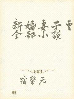 新婚妻子曹仁妻全部小说封面