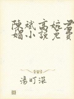 陈斌高婉君赵心媚小说免费阅读