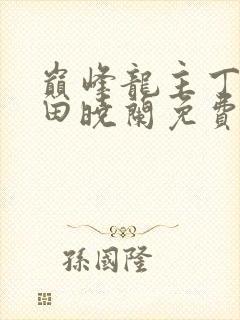 巅峰龙主丁长顺田晓兰免费阅读封面