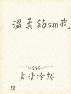 温柔的sm我