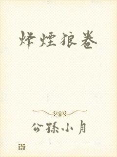 烽烟狼卷封面
