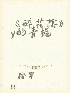 《醉花阴》 by酌青栀