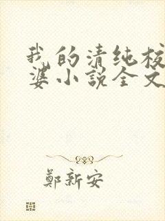 我的清纯校花老婆小说全文免费阅读