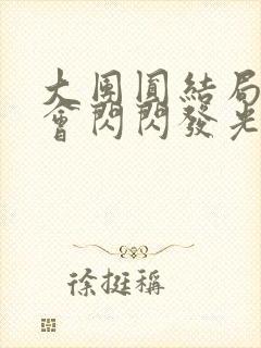 大团圆结局亲情会闪闪发光封面