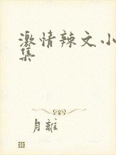 激情辣文小说合集