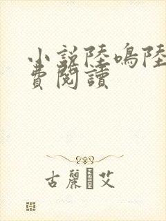 小说陆鸣陆瑶免费阅读封面