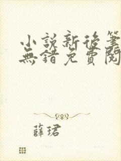 小说新后笔趣阁无错免费阅读封面