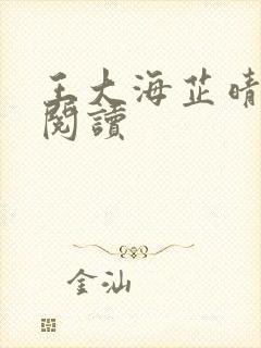 王大海芷晴在线阅读