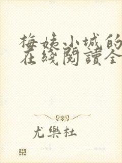 梅姨小城的小说在线阅读全文