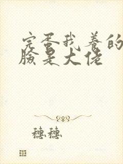 完蛋我养的小白脸是大佬封面