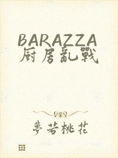BARAZZA厨房乱战封面