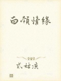 白领情缘封面