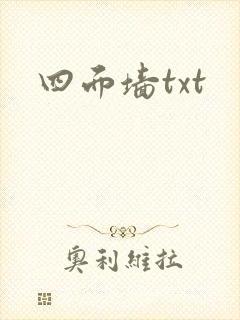 四面墙txt封面