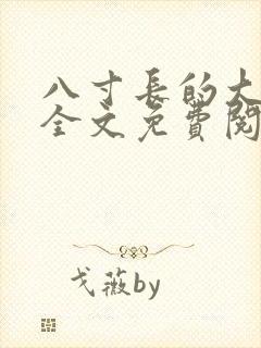 八寸长的大宝贝全文免费阅读