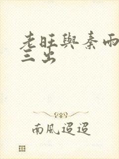 老旺与秦雨三进三出