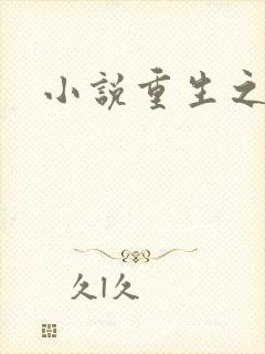 小说重生之官道