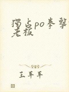 独占po拳击馆老板