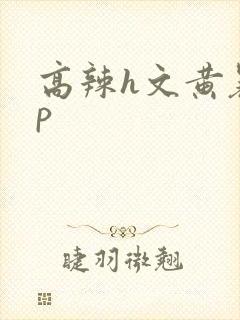高辣h文黄暴np