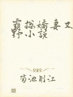 霸总娇妻又辣又野小说封面