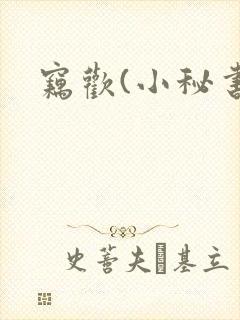窃欢(小秘书)封面