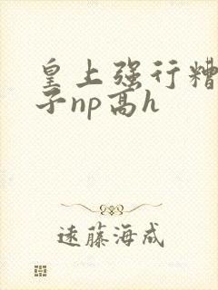 皇上强行糟蹋太子np高h