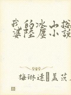 我的冰山总裁老婆陆尘小说