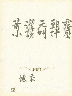 萧濯元朝露原著小说叫什么封面
