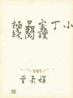 极品家丁小说在线阅读