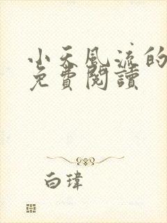 小天风流的小说免费阅读