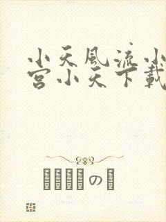 小天风流小说南宫小天下载免费阅读