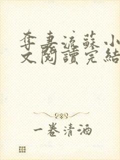 夺妻流苏小说全文阅读完结版