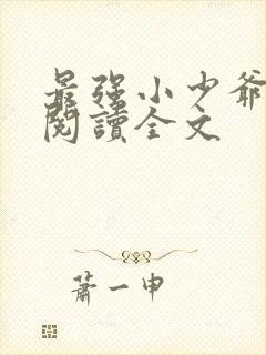 最强小少爷全文阅读全文
