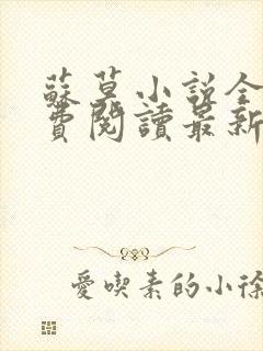 苏莫小说全文免费阅读最新章节封面
