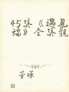45集《遇见幸福》全集观看免费高清封面