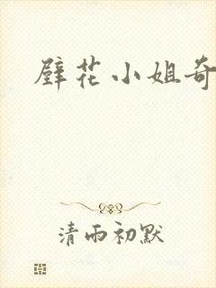壁花小姐奇遇记封面