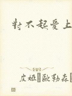对不起爱上你