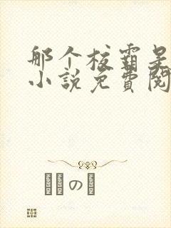 那个校霸是我的小说免费阅读