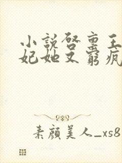 小说启禀王爷王妃她又穷疯了