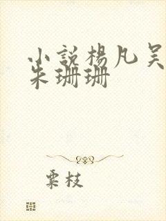 小说杨凡吴雪兰朱珊珊