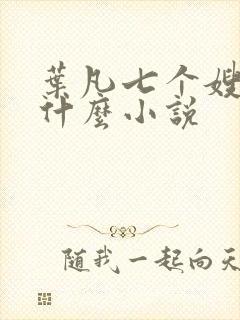 叶凡七个嫂子是什么小说