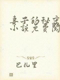 妻子的秘密吴双小说免费阅读封面