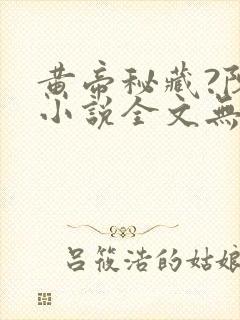 黄帝秘藏?陈启小说全文无删减