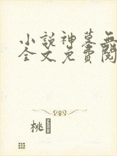 小说神墓无弹窗全文免费阅读