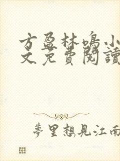 方盈林鸣小说全文免费阅读封面