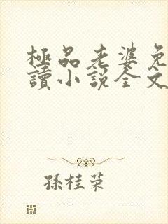 极品老婆免费阅读小说全文