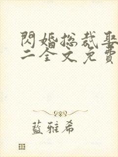 闪婚总裁娶一送二全文免费阅读