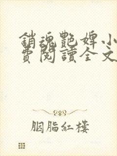 销魂艳婢小说免费阅读全文