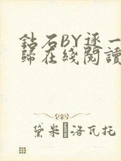 钻石BY逐一而归在线阅读