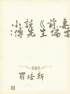 小说《前妻攻略:傅先生偏要宠我》封面
