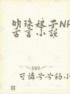 明珠娘子NPC古言小说
